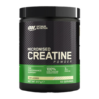 Optimum Nutrition Micronized Creatine Powder 317 g