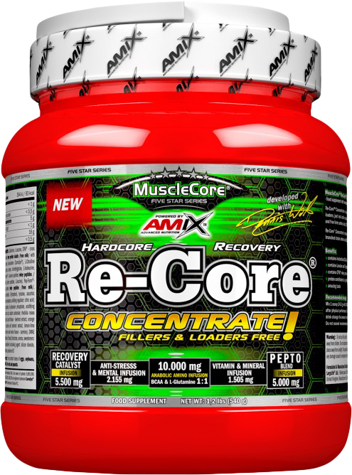 Amix Re-Core Concentrated 540 g Poncz owocowy