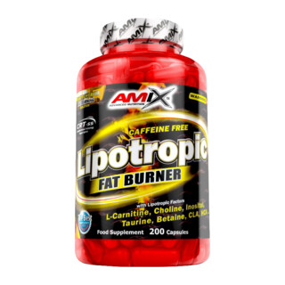 Amix Lipotropic Fat Burner 200 Kapseln