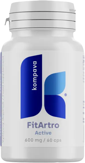 Kompava Fit Artro Aktiv 60 capsule