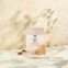 MyProtein Impact Diet Whey 1000 g