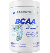 ALLNUTRITION BCAA Max Support Instant 500 g