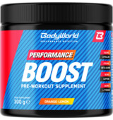 BodyWorld Boost 300 g