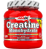 Amix Creatine Monohydrate 300 g