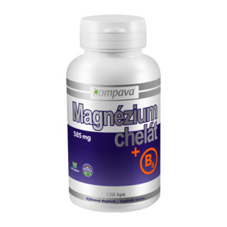 Kompava Magnesium chelate + B6 120 kapsul