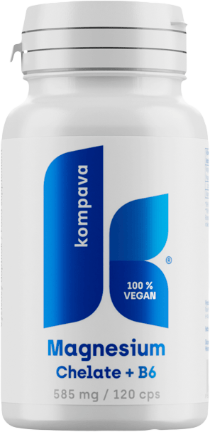 Kompava Magnesium chelate + B6 120 capsule