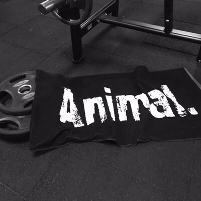 Universal Animal Gym Towel 100 x 50 cm