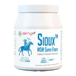 Barny´s Barny´s Sioux MSM Super Forte 600 g
