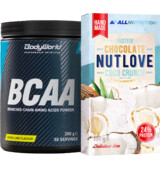 BodyWorld BCAA 360 g + ALLNUTRITION Protein Chocolate 100 g FREE