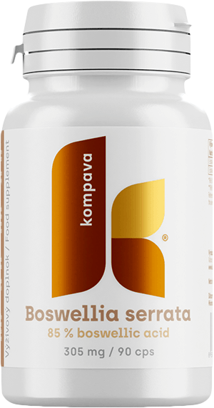 Kompava Boswellia serrata 90 kapsułek