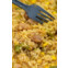 Summit To Eat Gebratener Reis mit Huhn 121 g