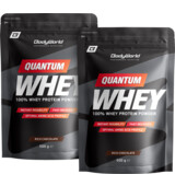 BodyWorld Quantum Whey Protein 2 x 500 g
