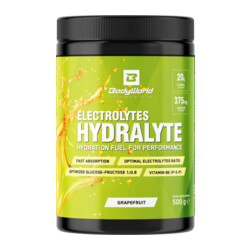 BodyWorld Electrolytes Hydralyte 500 g