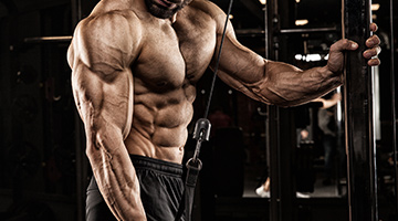 Training bigger muscles