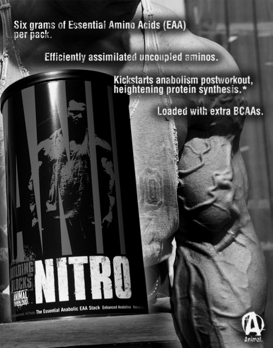 animal nitro specs