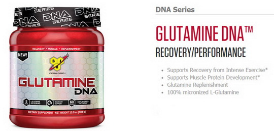 glutamine DNA